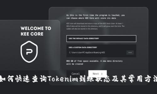 如何快速查询Tokenim到账状态及其常用方法