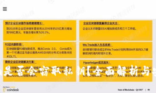 Tokenim是否会窃取私钥？全面解析与安全建议