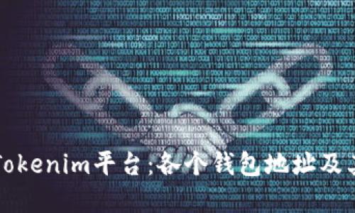 深入理解Tokenim平台：各个钱包地址及其功能详解