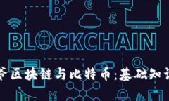 深入探讨大爷区块链与比特币：基础知识与投资