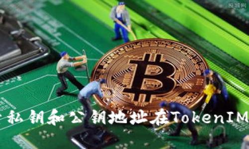 深入探索私钥和公钥地址在TokenIM中的应用