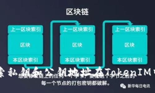 深入探索私钥和公钥地址在TokenIM中的应用
