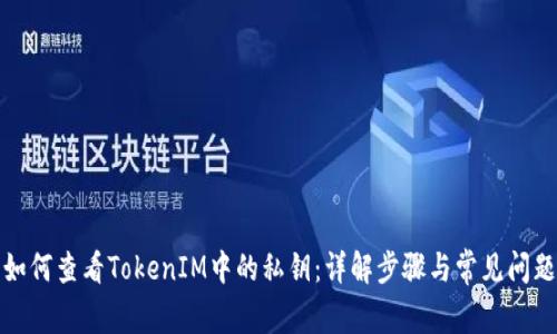 如何查看TokenIM中的私钥：详解步骤与常见问题
