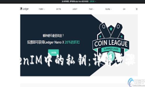 如何查看TokenIM中的私钥：详解步骤与常见问题