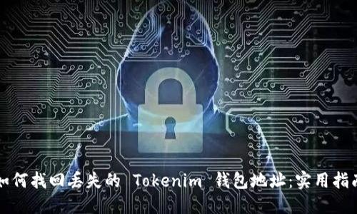 如何找回丢失的 Tokenim 钱包地址：实用指南
