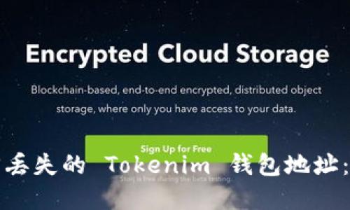 如何找回丢失的 Tokenim 钱包地址：实用指南