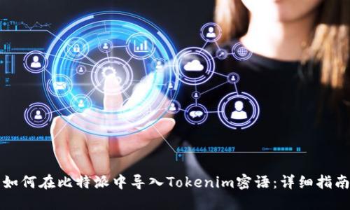 如何在比特派中导入Tokenim密语：详细指南