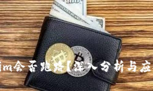 Tokenim会否跑路？深入分析与应对策略