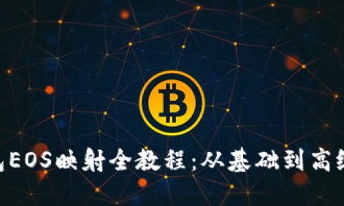 Tokenim钱包EOS映射全教程：从基础到高级的详细指南