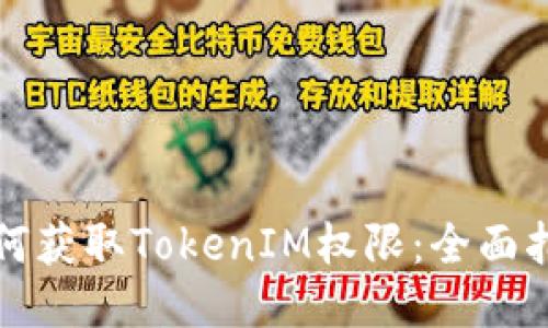如何获取TokenIM权限：全面指南