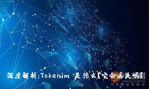 深度解析：Tokenim 是什么？它会丢失吗？