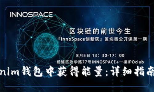 如何在Tokenim钱包中获得能量：详细指南与实用技巧