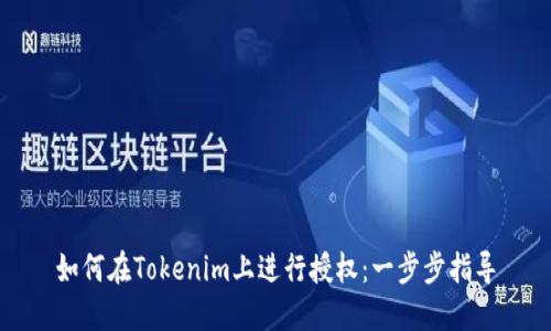 如何在Tokenim上进行授权：一步步指导