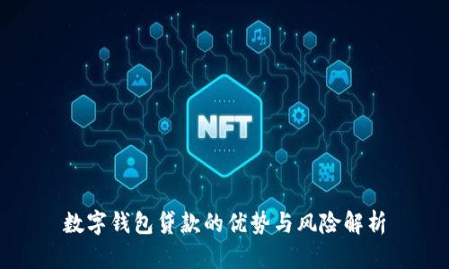 数字钱包贷款的优势与风险解析