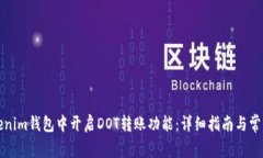 如何在Tokenim钱包中开启DOT转账功能：详细指南与