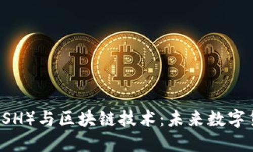 达世币（DASH）与区块链技术：未来数字货币的愿景