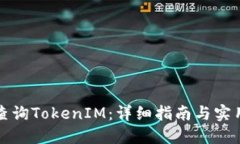 如何查询TokenIM：详细指南与实用技巧
