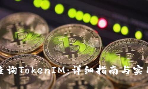 如何查询TokenIM：详细指南与实用技巧