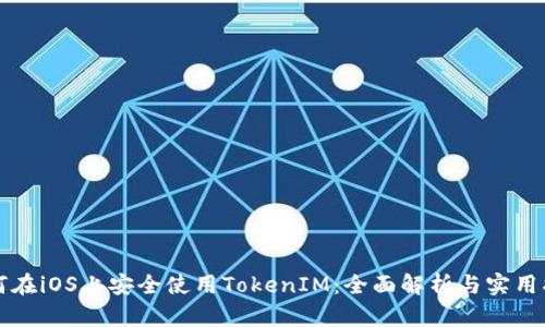 如何在iOS上安全使用TokenIM：全面解析与实用指南