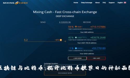 区块链与比特币：揭开比特币披萨日的神秘面纱
