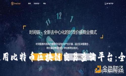 如何使用比特币区块链交易查询平台：全面指南