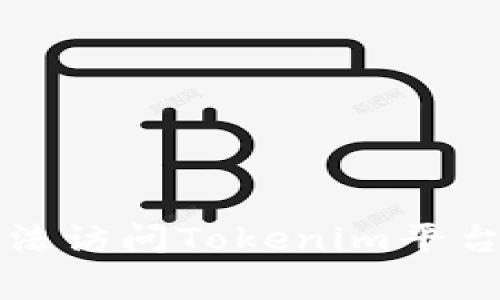 如何解决无法访问Tokenim平台的常见问题