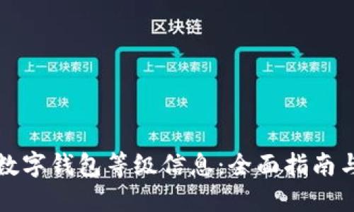 如何查看数字钱包等级信息：全面指南与实用技巧