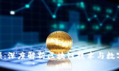 Tokenim视频：深度解析区块链技术与数字资产的未