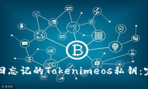 如何找回忘记的Tokenimeos私钥：完整指南