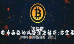 区块链和比特币面临的风险深度解析：你需要知