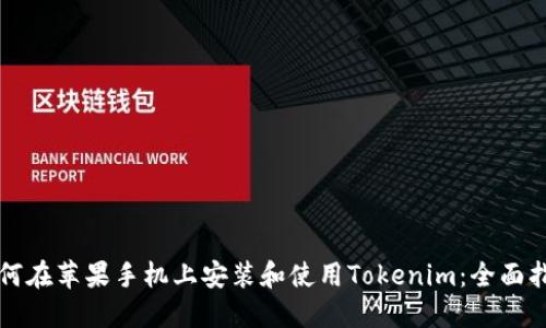 如何在苹果手机上安装和使用Tokenim：全面指南