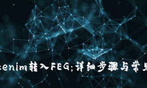 如何将Tokenim转入FEG：详细步骤与常见问题解答