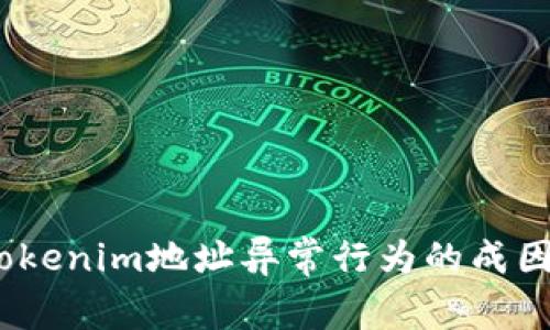 深入解析：Tokenim地址异常行为的成因与应对策略
