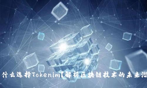 为什么选择Tokenim？解析区块链技术的未来潜力