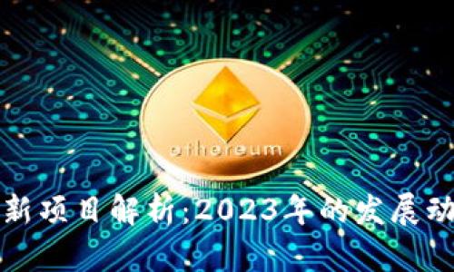 广东区块链最新项目解析：2023年的发展动态与未来趋势