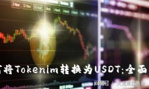 如何将Tokenim转换为USDT：全面指南