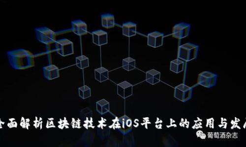 全面解析区块链技术在iOS平台上的应用与发展