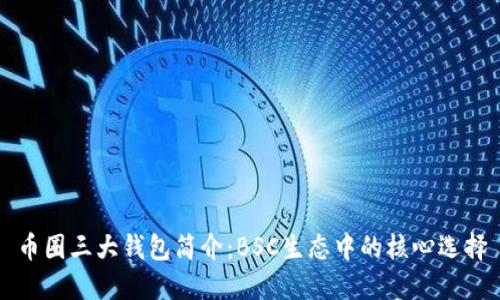 币圈三大钱包简介：BSC生态中的核心选择