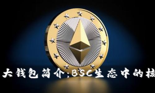 币圈三大钱包简介：BSC生态中的核心选择